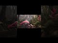 Flamingo – The Beautiful Pink Bird of Nature | Welcome to NVOOVN | A World of Cinematic Animation.