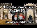 The Christmas Tree At City Hall - Pasadena, California