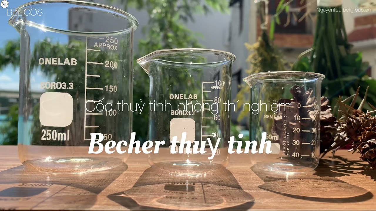 Cốc Thuỷ Tinh - Becher - Cốc Đong 50Ml-100Ml-250Ml Dụng Cụ Phòng Lab