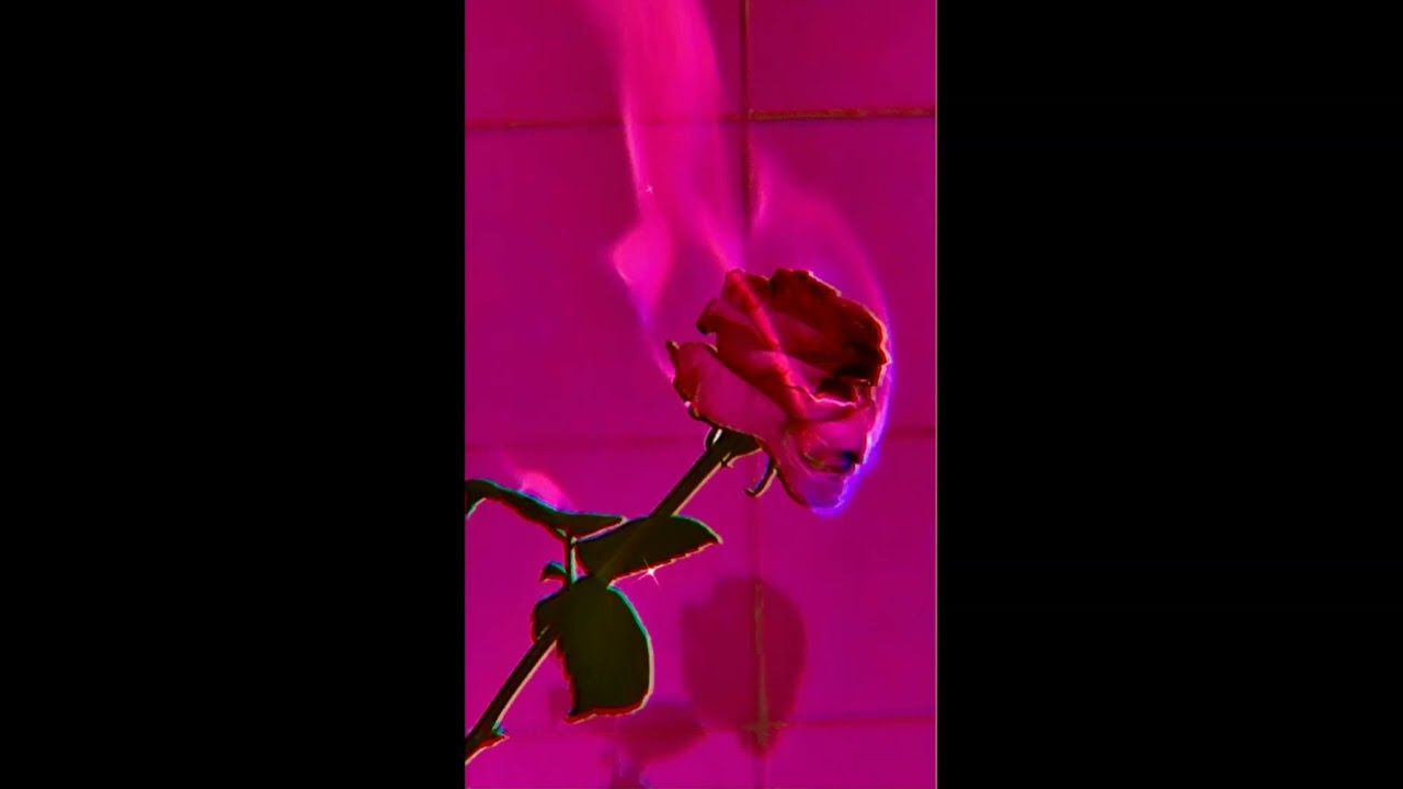 [FREE] UNDERGROUND TYPE BEAT  ''POISON''  | RAW & DARK