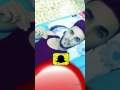 اغنيه الي انتشر اكثر من اسلام مي كينه مي كينه يوميات سناب عراقي اغنيه الي انتشر اكثر من اسلام مي كينه مي كينه يوميات سناب عراقي