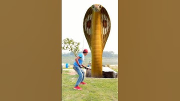 Anaconda snake in real life P39#shorts #short #snake #nagin #python #anaconda  #snakes #bigsnake
