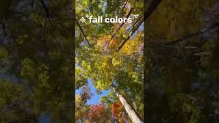 Immerse Yourself in the Vibrant Fall Colors of the USA