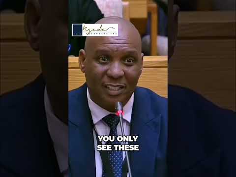 Cedrick Nkabinde On Minister Senzo Mchunu