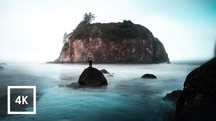Morning Ocean Ambience Sounds at Ruby Beach, Washi...