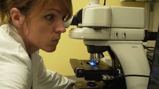 SPOTTING PROSTATE CANCER EARLIER