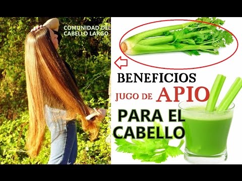 Beneficios del celery para adelgazar Beneficios del celery para adelgazar