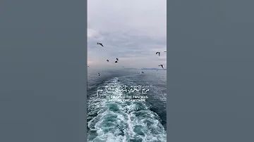 م ر ج ال ب ح ر ي ن ي ل ت ق ي ان تلاوة هادئة القارئ عمير شميم 