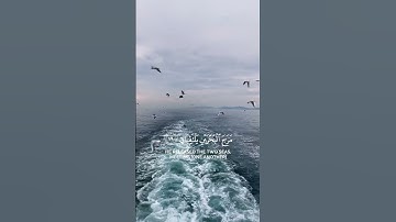 مَرَجَ الْبَحْرَيْنِ يَلْتَقِيَانِ - تلاوة هادئة - القارئ: عمير شميم.