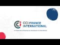 Cci france international les entreprises qui russissent  linternational 