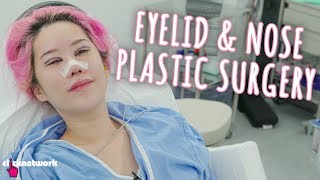 Eyelid and Nose Plastic Surgery - Xiaxue's Guide To Life: EP211 screenshot 2