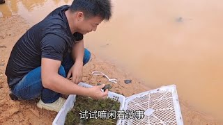 小伙又买来200只甲鱼，跟媳妇说了两种价格，这是想骗零花钱了？