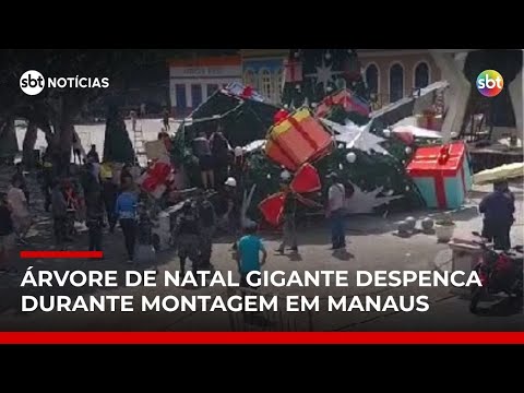 Video trabalhador-morre-apos-guindaste-tombar-durante-montagem-de-arvore-de-natal-em-manaus-sbt-noticias