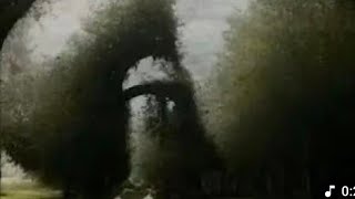 XXL XXL XXL XXL FREESTYLE 2024 |XXL 2025 | Xxwd5000xa | XXL XXL XXL XXL FREESTYLE