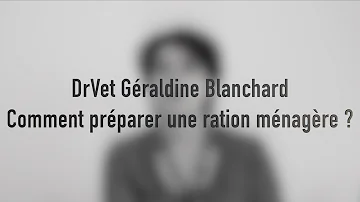 Comment calculer la ration ménagère pour chien ?