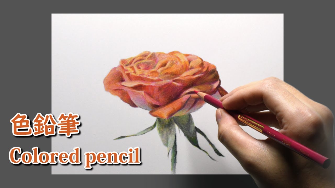 色鉛筆画 2時間で描くリアルなバラの花のメイキング 描き方 Colored Pencil Drawing No 239 Youtube