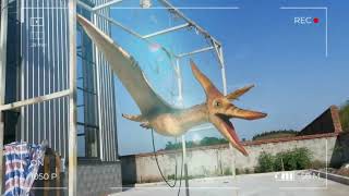 Life Size Flying Pterodactyl
