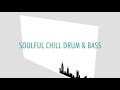 Soulful Chill Drum & Bass Mix (N485)