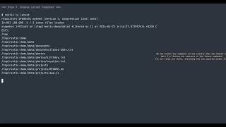 Backup with Restic and rsync.net