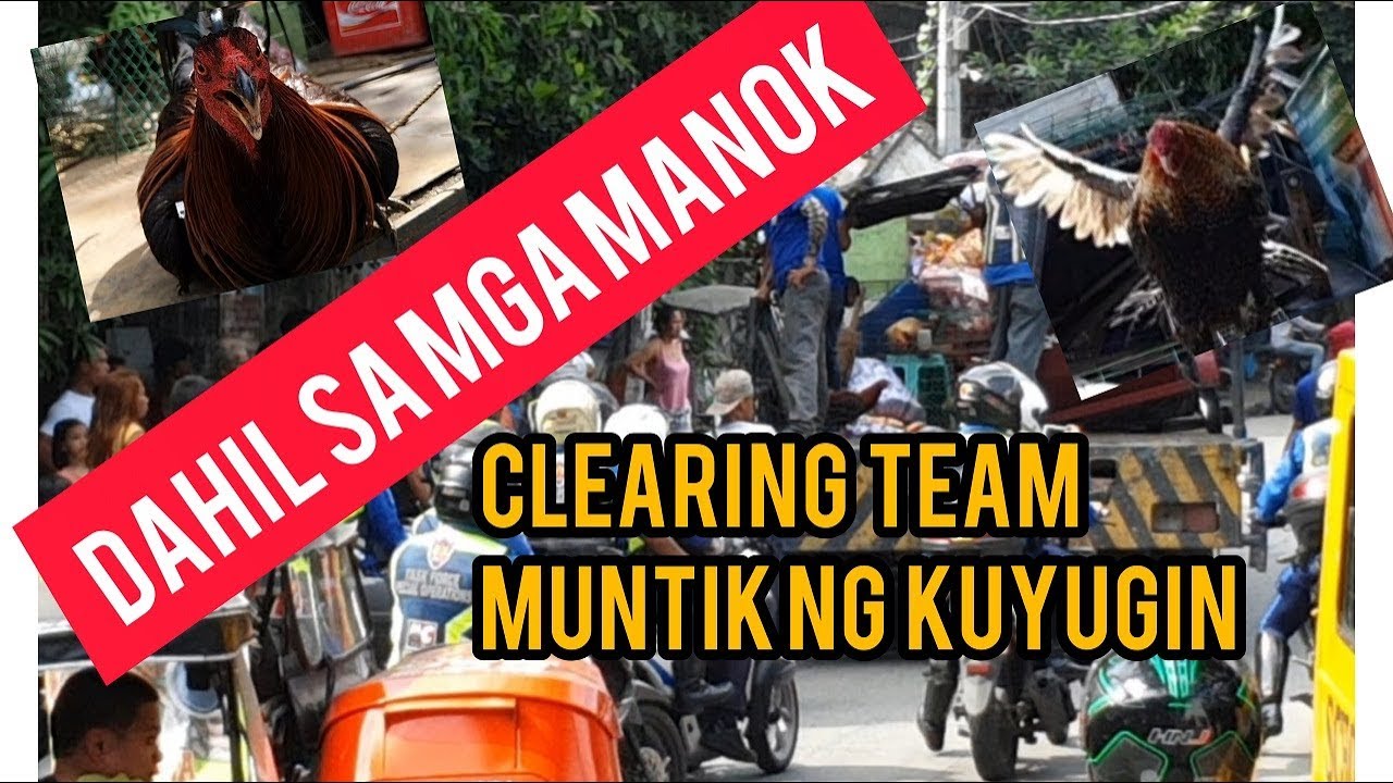 DAHIL SA MGA MANOK NA PULA, MGA RESIDENTE NAGALIT! Quezon City Clearing Operation 2019