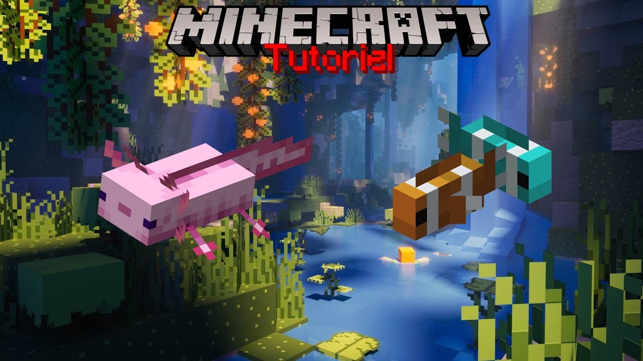 Trouver et Elever des Axolotls - Tuto Minecraft - YouTube