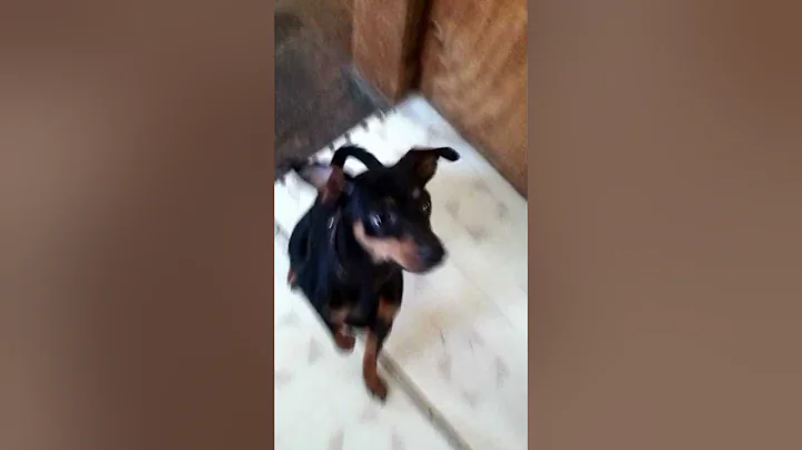 Jax's Tricks Part 1
