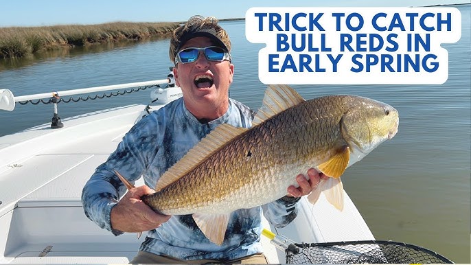 SALTWATER SLAM FISH SCENT: Best Lure Scent For Redfish, Trout