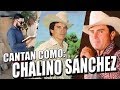 Personas que Cantan como CHALINO SANCHEZ