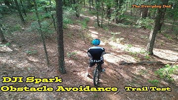 DJI Spark Obstacle Avoidance Review Trail Test!  Can it dodge a tree?