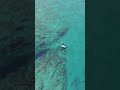 水管上板,畅游玻璃水 #pumpfoil #supfoil #surffoil #hydrofoil #foil #beachstart