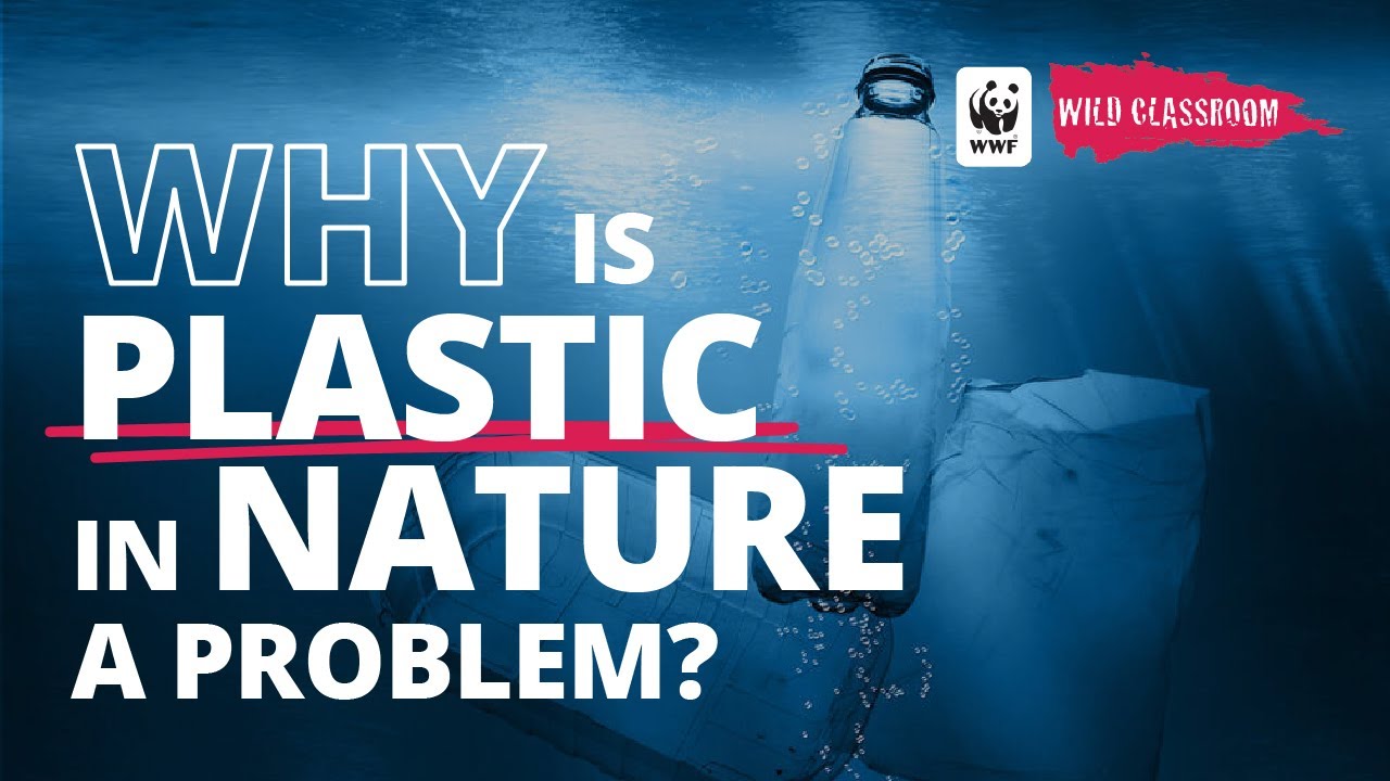 Why is Plastic in Nature a Problem? - YouTube