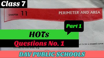 DAV class 7 maths chapter 11 Hots