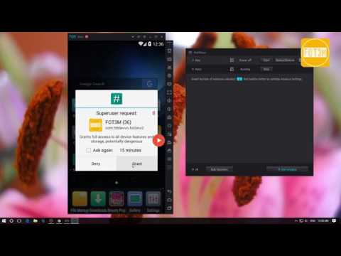 HƯỚNG DẪN AUTO FIFA MOBILE – NOX PLAYER