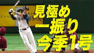 【見極め一振り】近藤健介 好球しっかり見極め【待望今季1号】