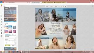 PicMonkey Tutorial - How to Edit Collages screenshot 2
