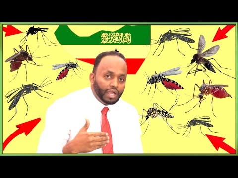 Digniin: Xanuun Halis ah & Wasaarada Caafimaadka Somaliland oo Bulshada uga digtay.