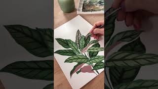 Botanical painting #art #shorts #gouache