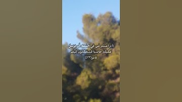 سورة الملك (١٦-١٨)  ابراهيم الحق