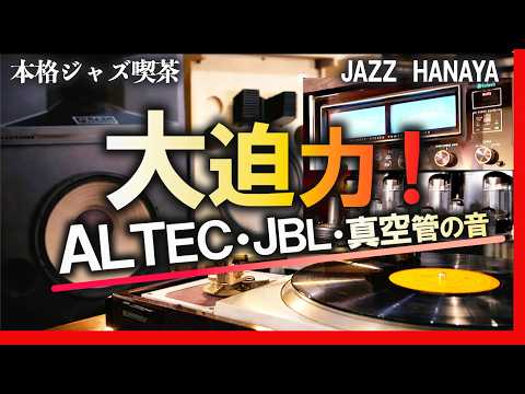 Immersive Sound of JBL Speakers, ALTEC Horns, and McIntosh Amps