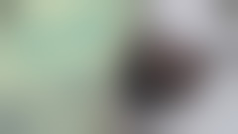 ሱረቱል በቀራ سورة البقرة الشيخ نورين محمد صديق