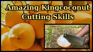 Amazing Kingcoconut Cutting Skills | Tips | Fruit Cutting Skills | ASMR 😳 #fruitcuttingskills