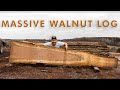 Woodworking Life - Saw milling a HUGE Walnut Log at Legacy Lumber