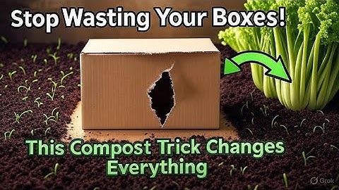 The Cardboard Composting Secret That Boosts Harvests 40% Faster (No Bins, No Fuss!)