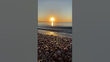 Relaxing Video of a Sunrise Beach #shorts #travel