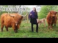 Caledonia - Avonmora