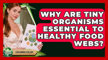 Why Are Tiny Organisms Essential To Healthy Food Webs? - Explaining Ecology