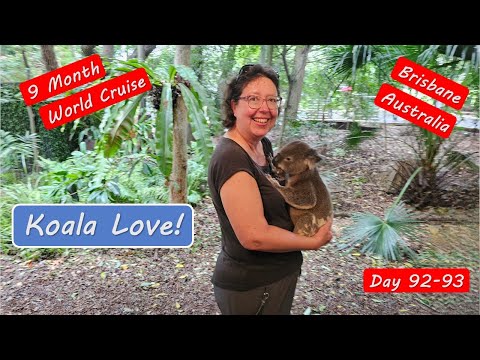 Brisbane Australia Lone Pine Koala Sanctuary Tour 2024.  Holding a Koala! Video Thumbnail