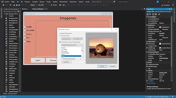 Galeria C# Windows Form (MouseHover)