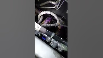 2009 Scion xB Weapon R intake Manifold and intake installed