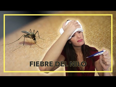 Vídeo: Casos De Virus Del Nilo Occidental En Grecia Este Verano